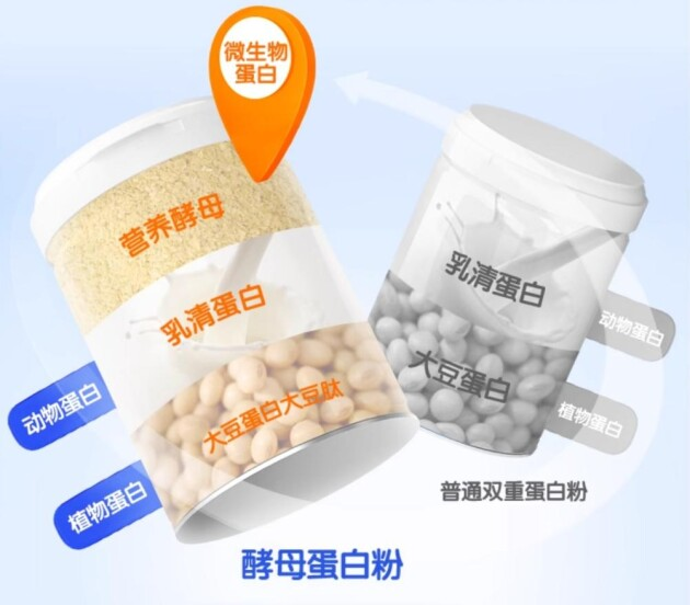 安琪纽特4.0酵母蛋白平衡肠道营养受追捧