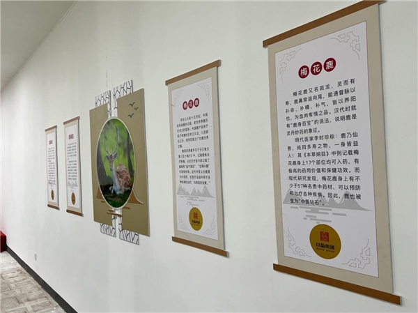中盈集团千岛湖逸之园收购项目圆满成功