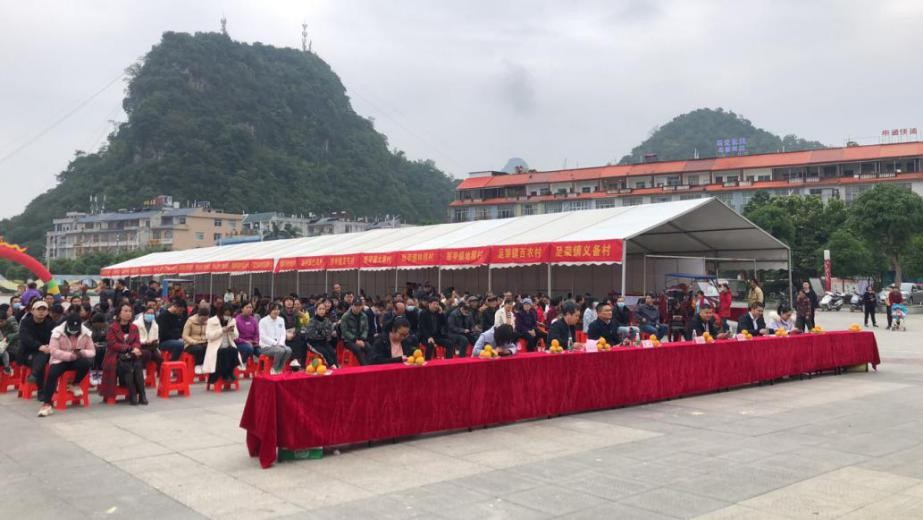 为农产品代言！德保县举行“党旗领航 • 电商扶贫”扶贫产品展销暨“双十一”电商节