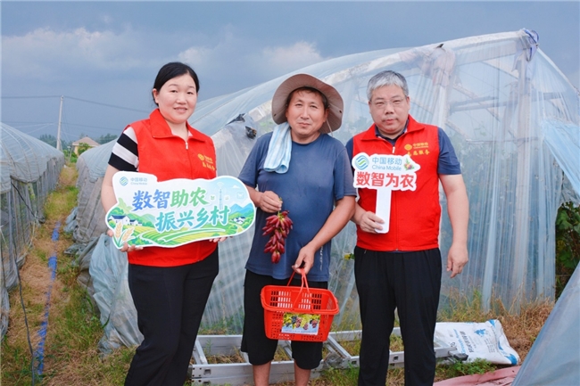 5G赋能“云”上丰收，中国移动助农直播打通葡萄出村“最后一公里”