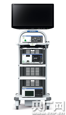 打卡进博会|专访奥林巴斯第一任中国本土女性CEO——杨文蕾