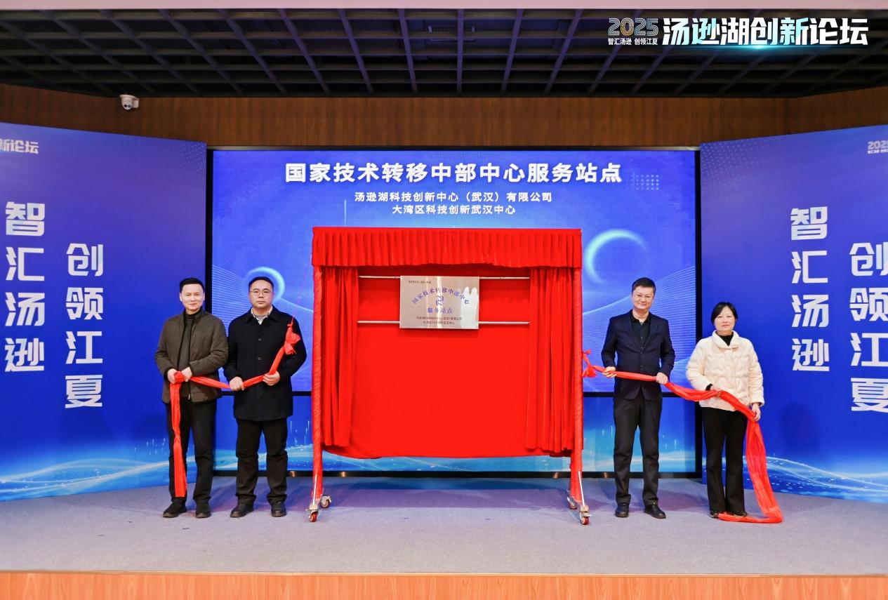 2025汤逊湖创新论坛举办 为江夏“十五五”发展聚势赋能