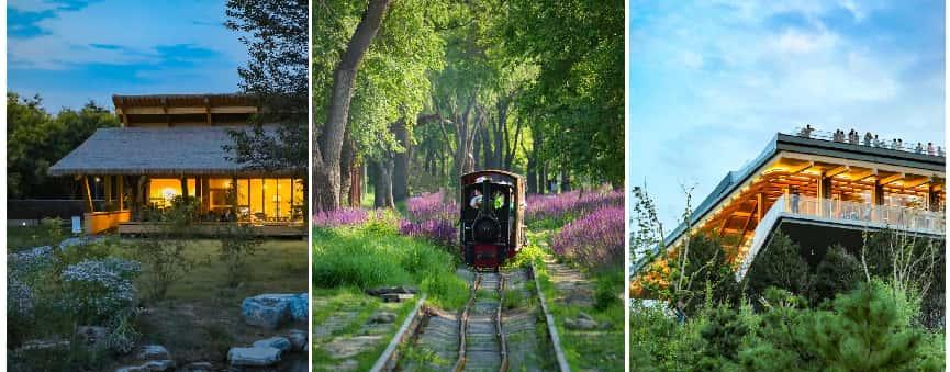 全国首创森林沉浸式实景娱乐综合体《遇见蘑王》将于9月26日在京亮相 全国首创森林沉浸式实景娱乐综合体《遇见蘑王》将于9月26日在京亮相