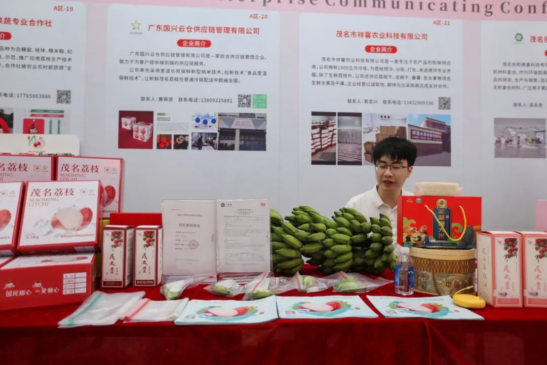 表彰先进 持续赋能 2023年“茂名荔枝”区域公用品牌授权企业交流会成功召开 表彰先进 持续赋能 2023年“茂名荔枝”区域公用品牌授权企业交流会成功召开