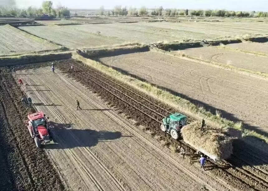 药博会陇西开幕,扬子江药业集团与甘肃携手共绘陇药品牌新图景 药博会陇西开幕,扬子江药业集团与甘肃携手共绘陇药品牌新图景