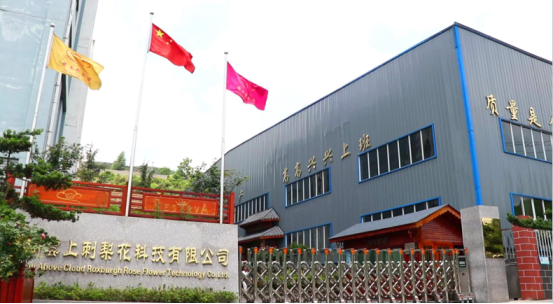 引领健康饮品新风尚 贵州云上刺梨花邀您共创合作新篇章 引领健康饮品新风尚 贵州云上刺梨花邀您共创合作新篇章