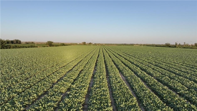 再度获评!扬子江药业集团荣膺“人民匠心品牌”奖 再度获评!扬子江药业集团荣膺“人民匠心品牌”奖