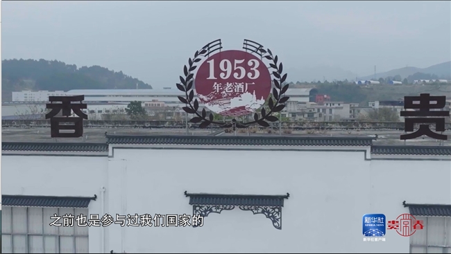 新华社揭秘贵常春《好菌酿好酒》：见证中国白酒老酒厂复兴