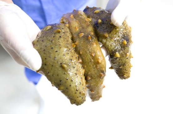 市场地位证明:蓬莱深奥,海参深加工产品全国销量第一 市场地位证明:蓬莱深奥,海参深加工产品全国销量第一