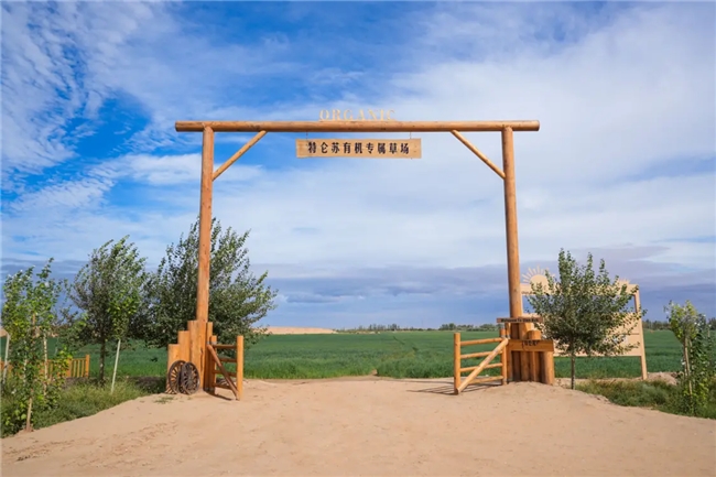 乳业考卷：14亿人的“营养大题”，蒙牛如何作答？