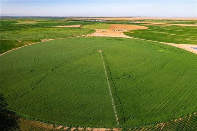 沙漠中的绿色<a href=//m.claudomiro.com/Finance/9/ target=_blank class=infotextkey>经济</a>,特仑苏打造“点沙成金”的乳业样板工程 沙漠中的绿色经济,特仑苏打造“点沙成金”的乳业样板工程