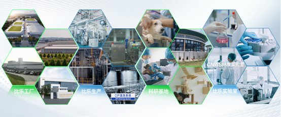 市场地位声明：比乐，老年犬分阶宠食开创者