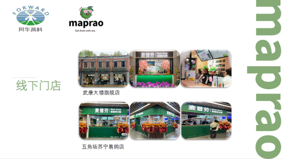 知名饮品品牌麦普劳荣获尚普咨询集团系列市场地位声明