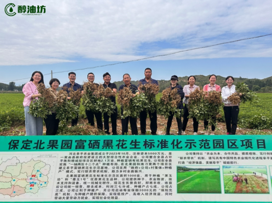 从开创者到品类第一，醇油坊斩获双项全国市场地位声明