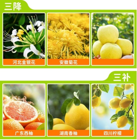 小葵花金银花双柚汁获权威认定,开创中国植物饮料新品类 小葵花金银花双柚汁获权威认定,开创中国植物饮料新品类