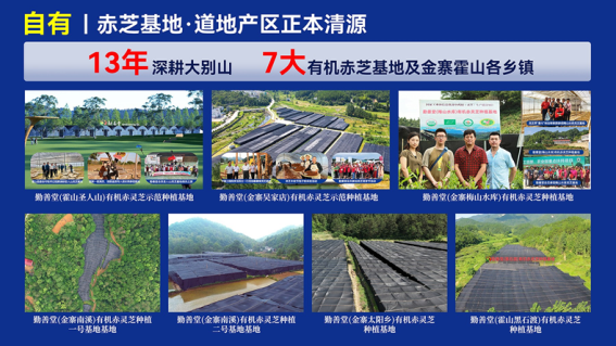 市场地位声明:勤善堂,大别山仿野生道地赤芝产业领导品牌 市场地位声明:勤善堂,大别山仿野生道地赤芝产业领导品牌