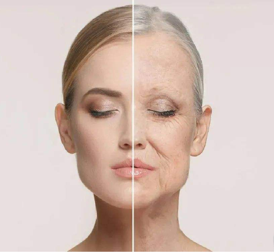 干细胞护肤天花板--零下十八度