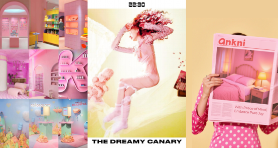 华信人咨询：安可尼荣获华信人咨询系列市场地位声明