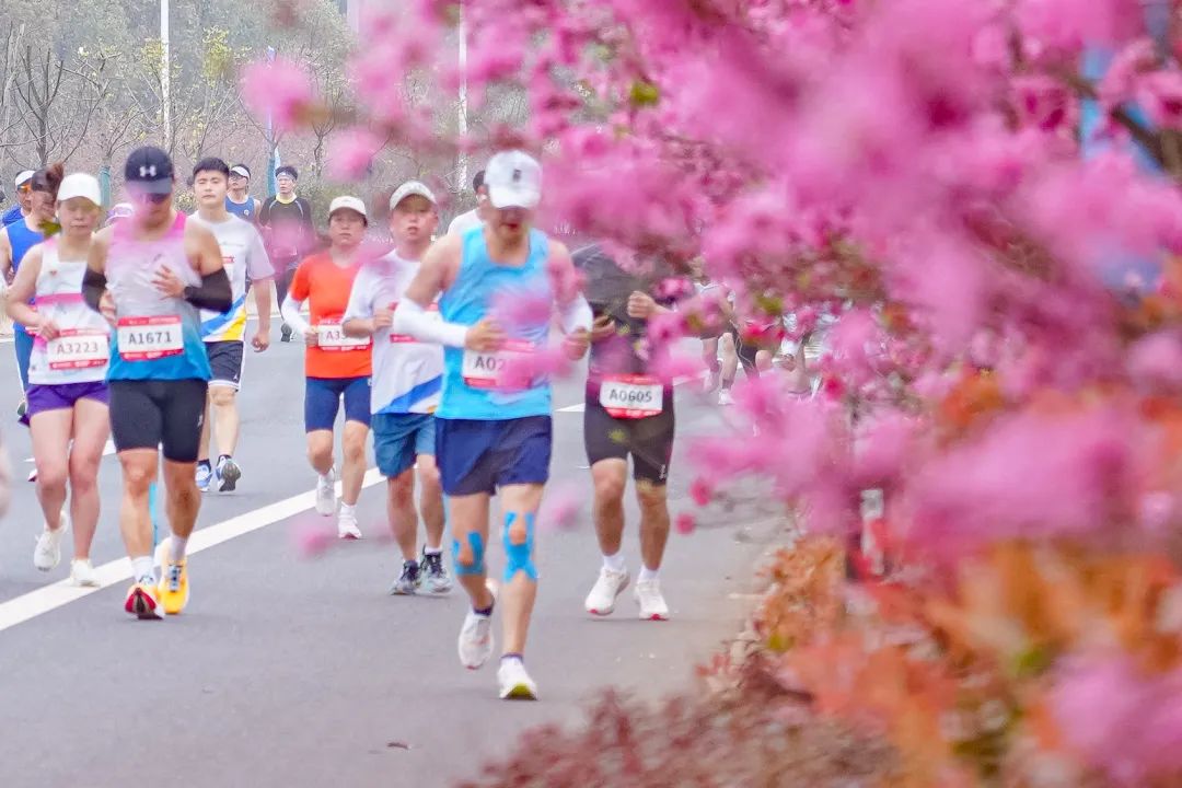 “协鑫集成”2024芜湖马拉松暨“津盛农商行”中国10公里精英赛（芜湖站）开跑