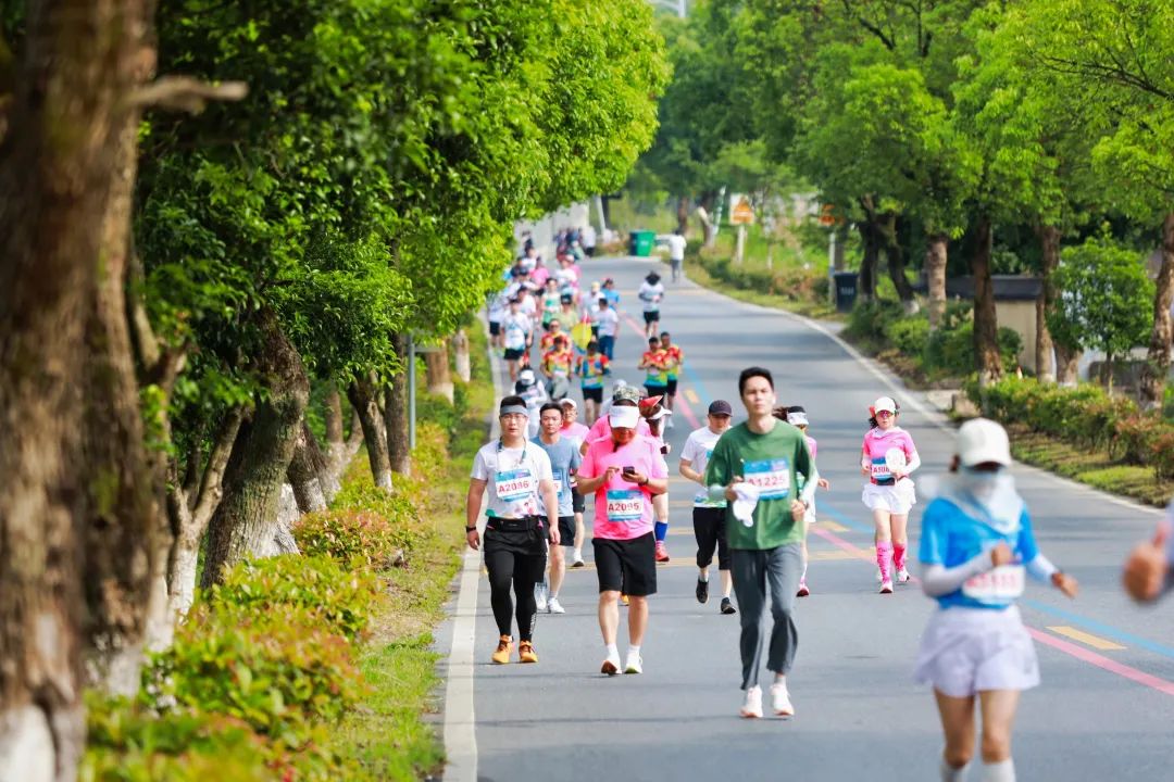 “徒步九华圣境，畅游灵秀青阳” 2024池州青阳徒步大会今日开走！