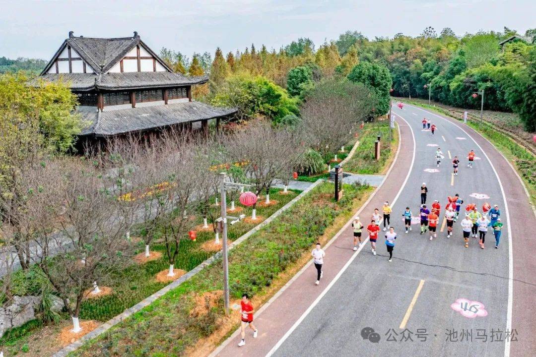 赛事发布丨相约金秋 共赴池马之约 2025池州马拉松新闻发布会在合肥盛大召开