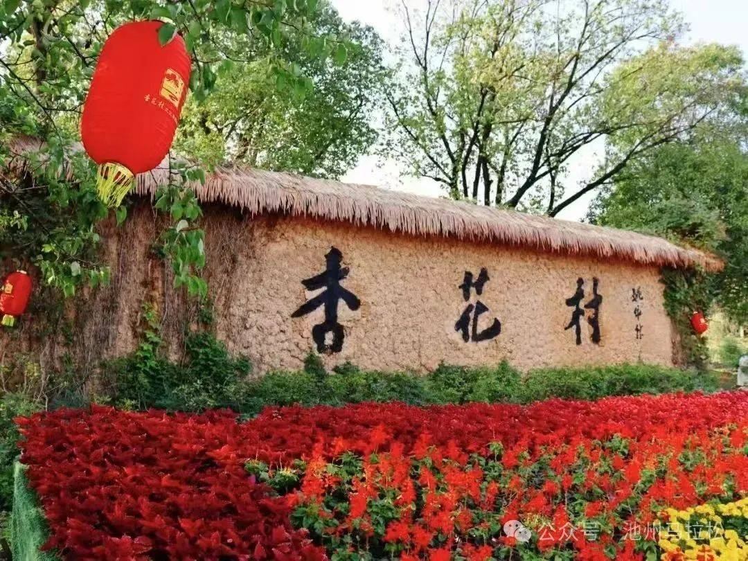 赛事发布丨相约金秋 共赴池马之约 2025池州马拉松新闻发布会在合肥盛大召开