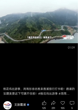 《桃花坞出游季》圆满收官，欢笑中探索合作新模式