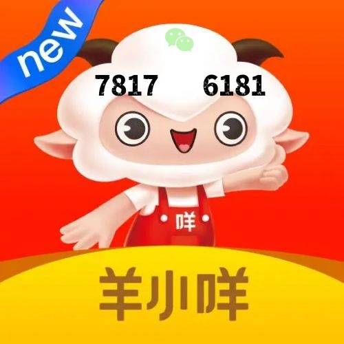 羊小咩消费额度怎么变现，引领购物新体验