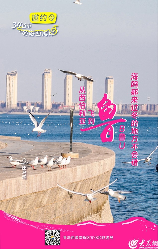 @全国的家人们，一起在青岛西海岸新区冬游吧！