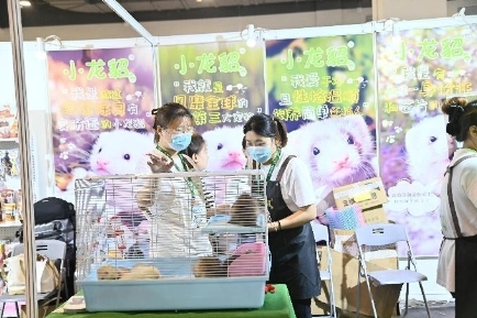 爱宠大集结 萌力挡不住｜直击2023寰球宠物博览会